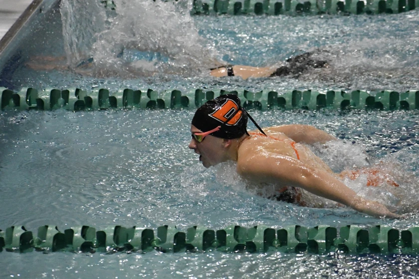WDA dives into its 50th season in the pool