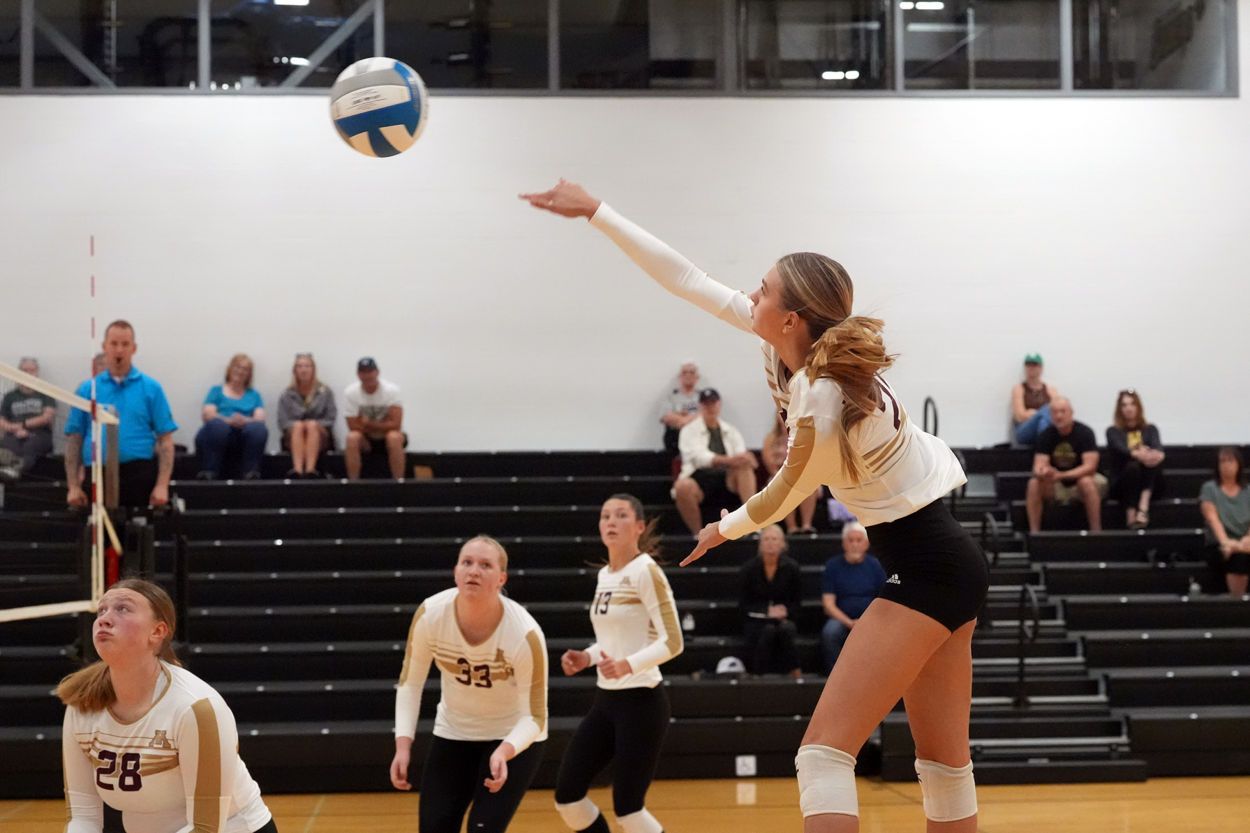 Volleyball