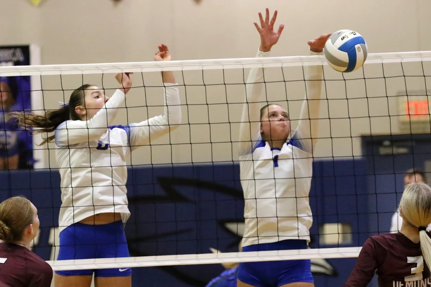 Volleyball