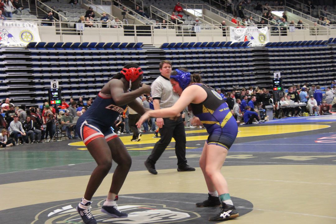 Bismarck Century Logo