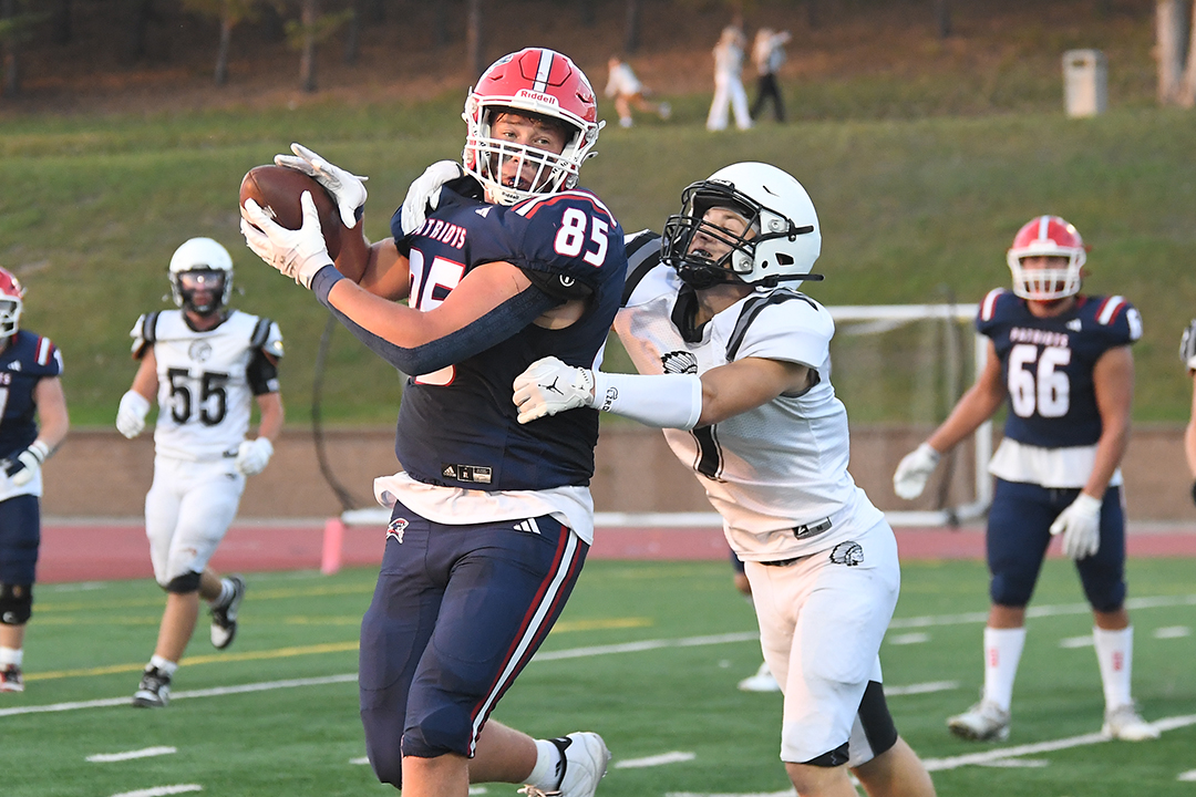 Bismarck Century Logo