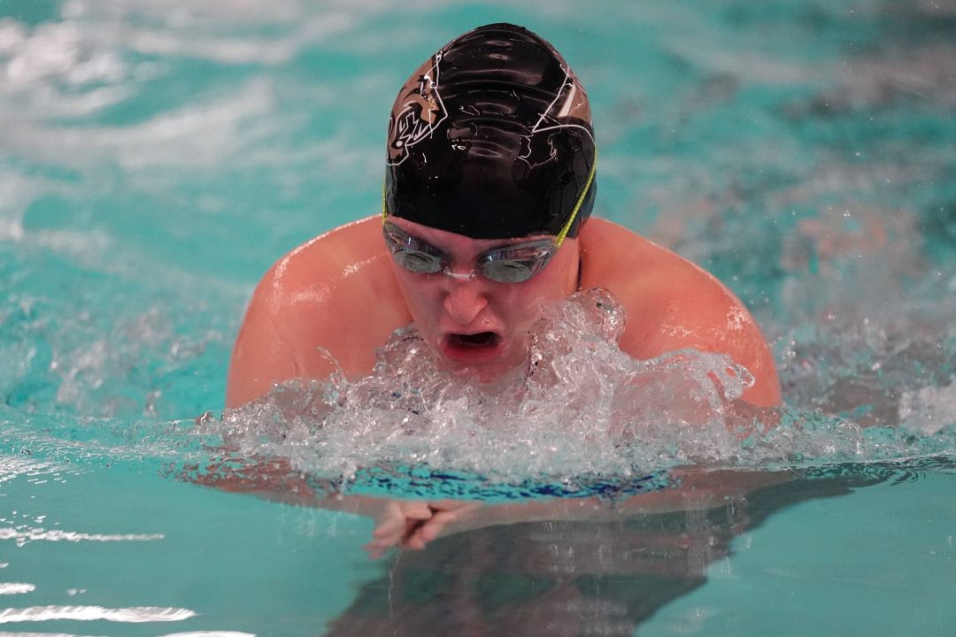 Bismarck Legacy Logo