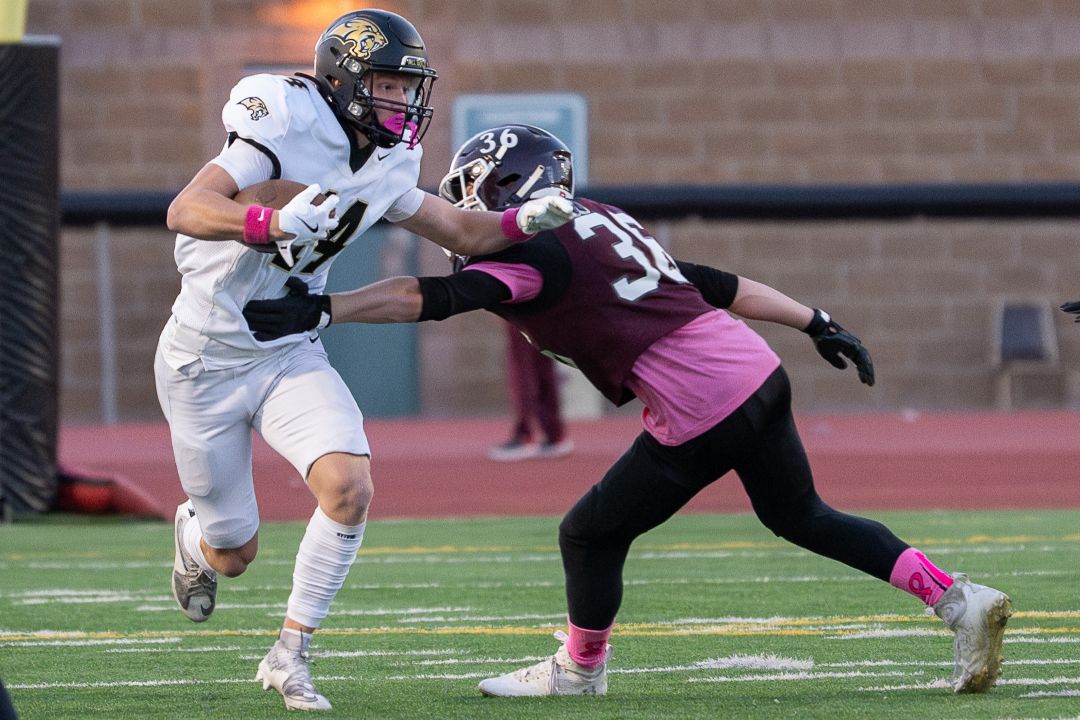 Bismarck Legacy Logo