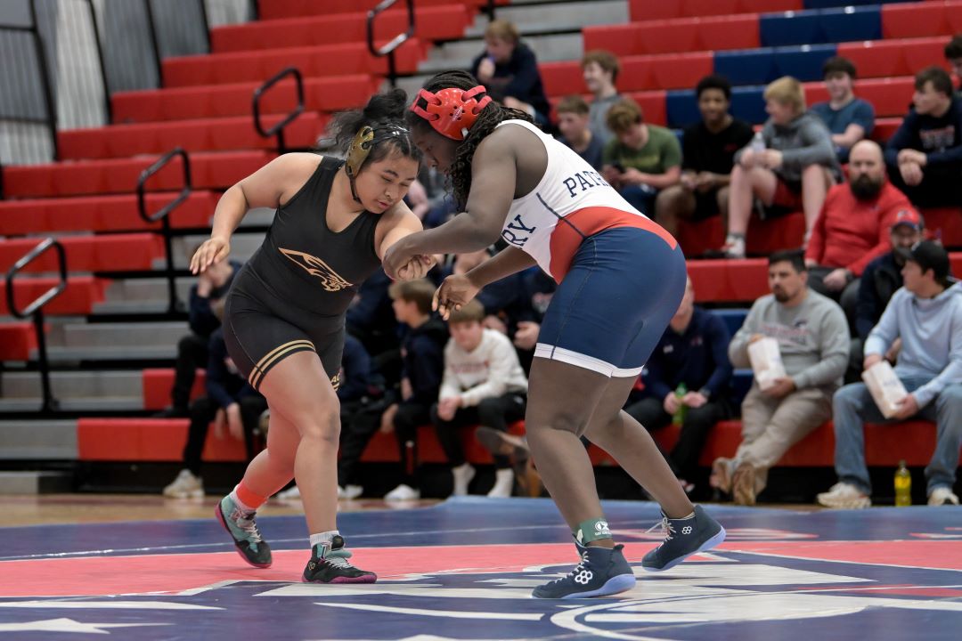 Bismarck Century Logo