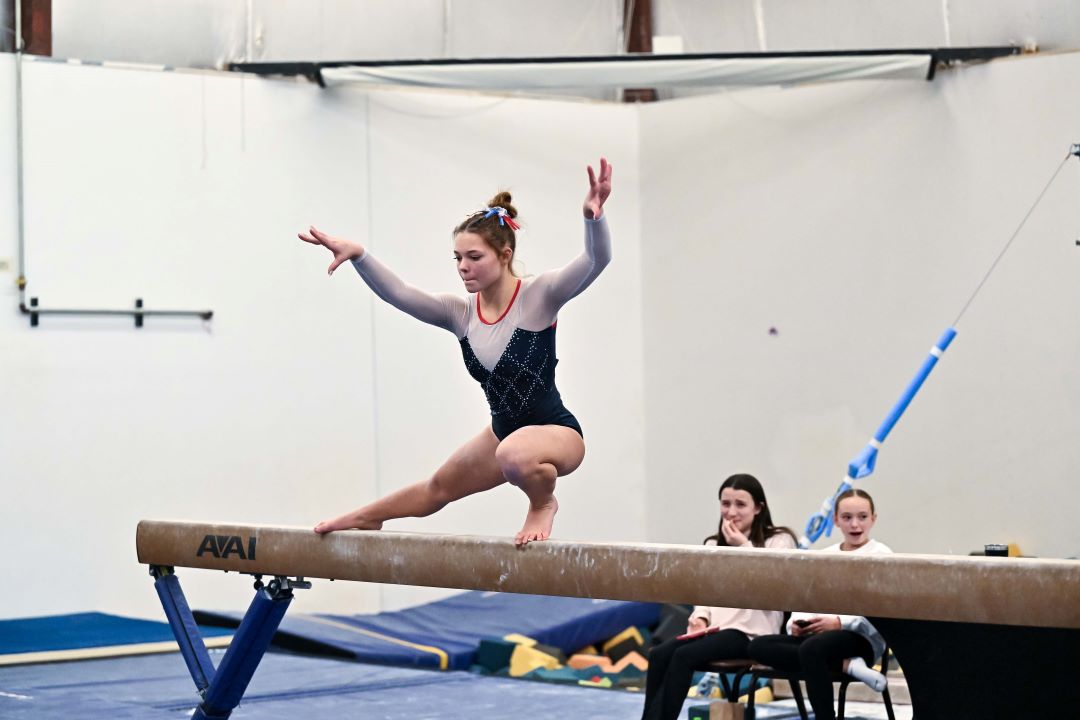 Bismarck Century Logo