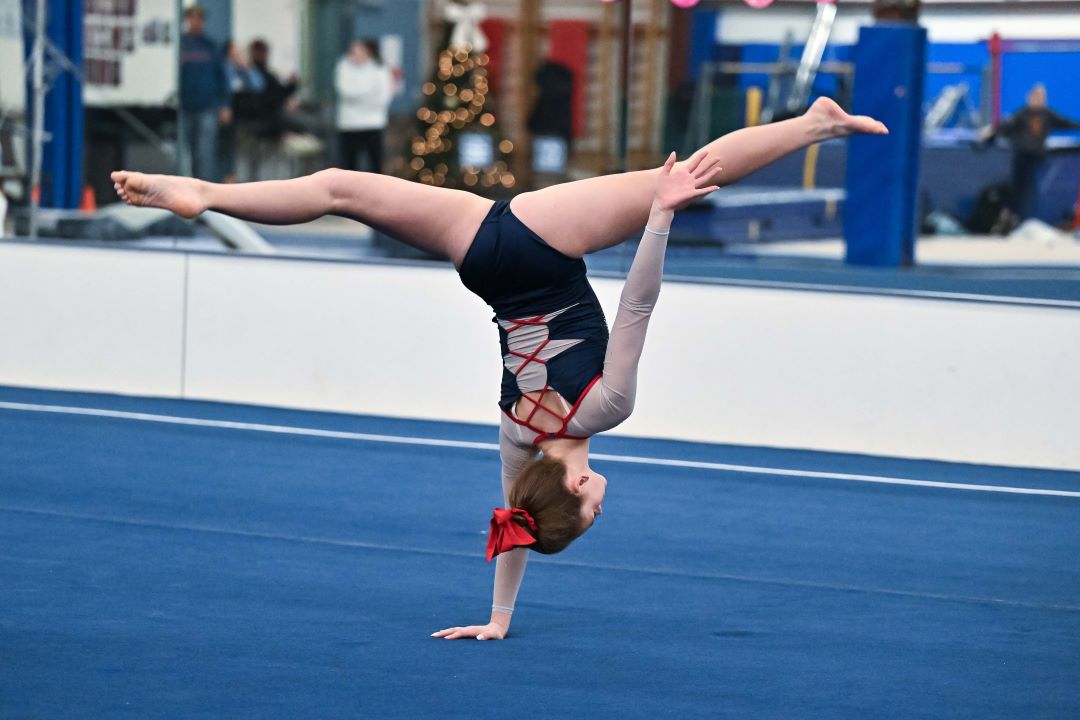 Bismarck Century Logo