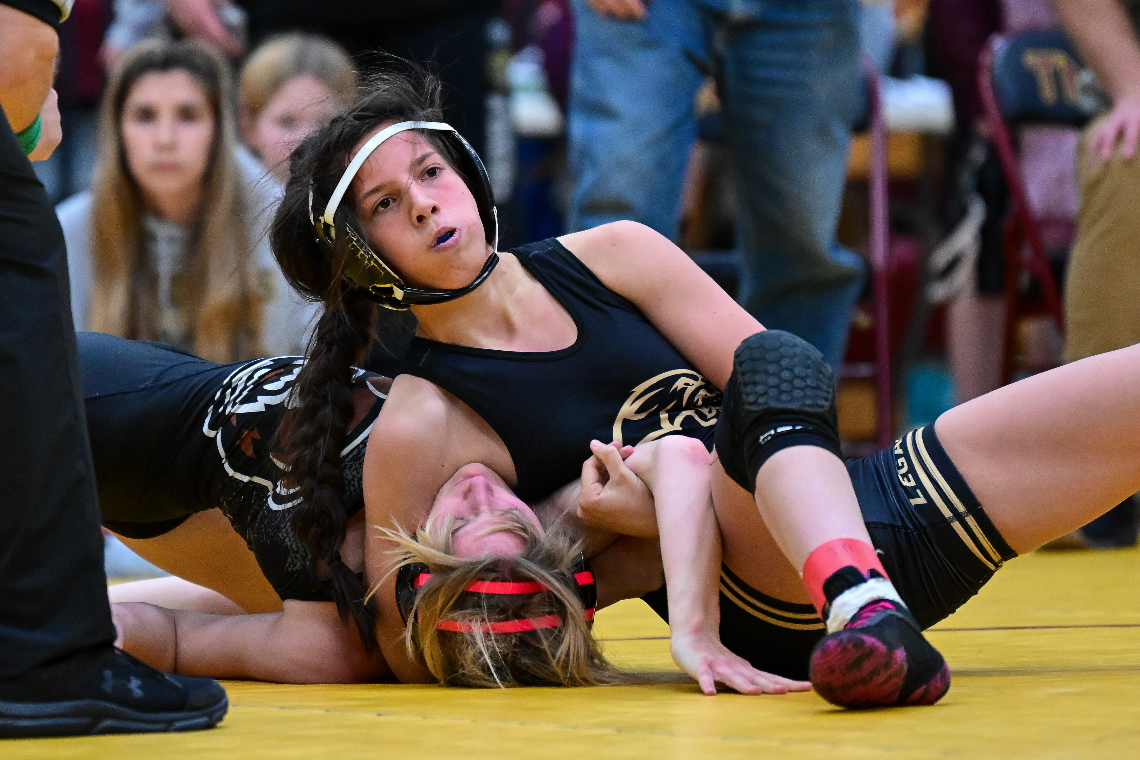 Bismarck Legacy Logo