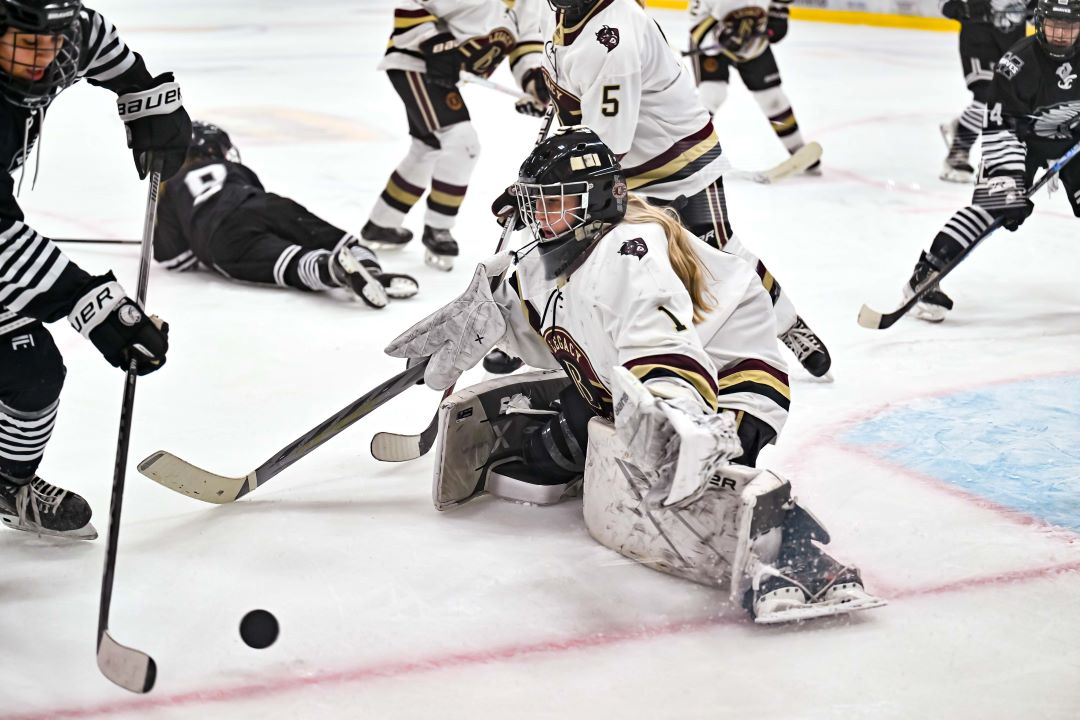 Legacy-Bismarck High Logo