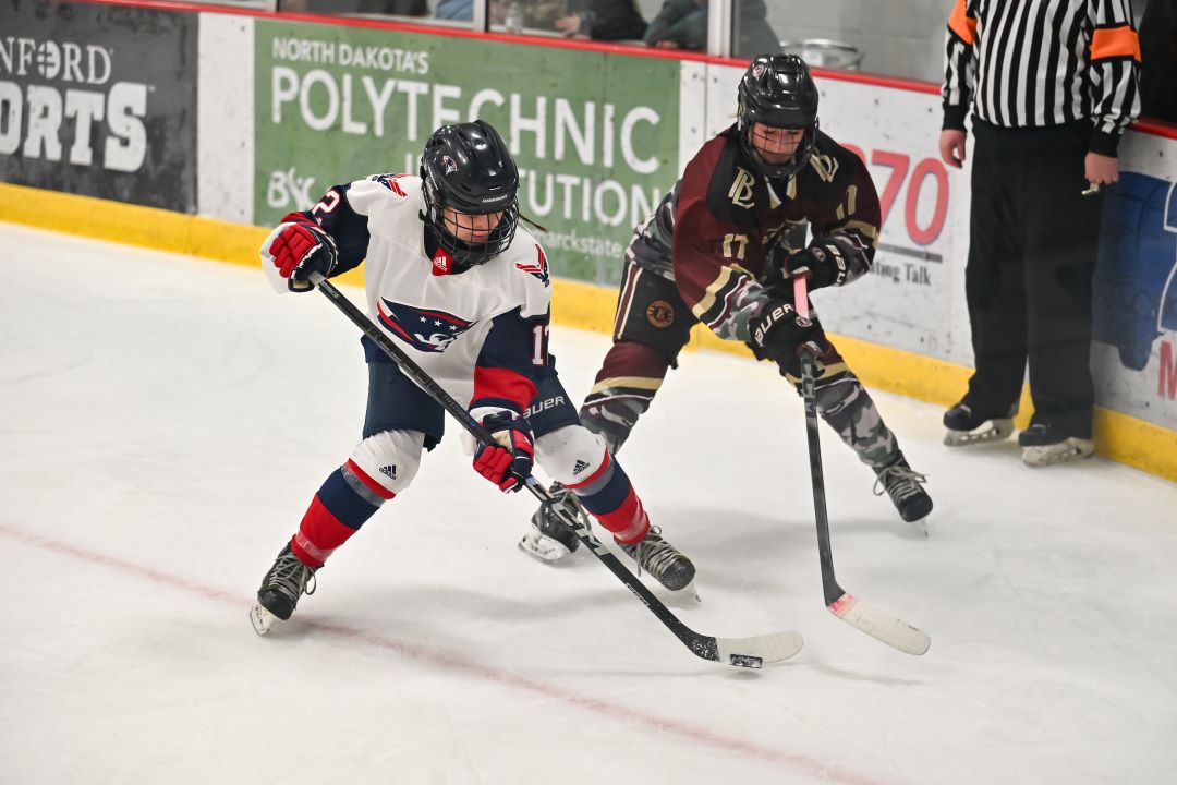 Bismarck Century Logo