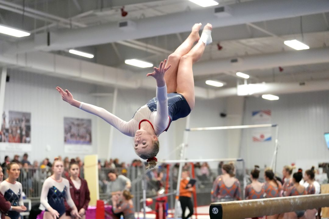 Bismarck Century Logo