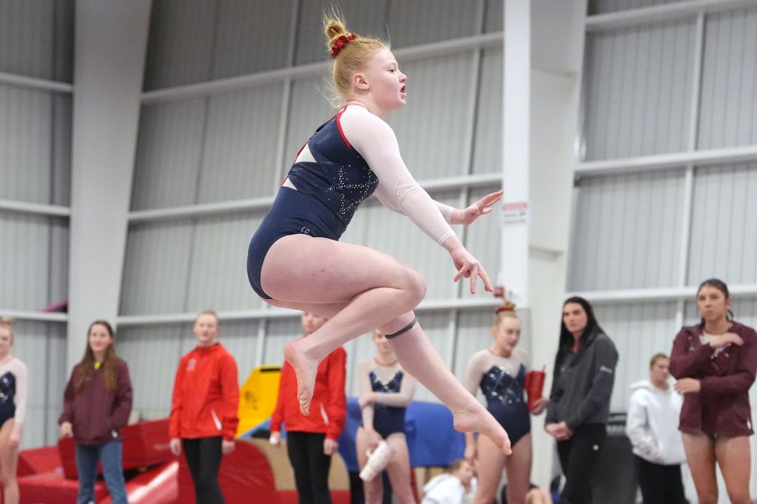 Bismarck Century Logo