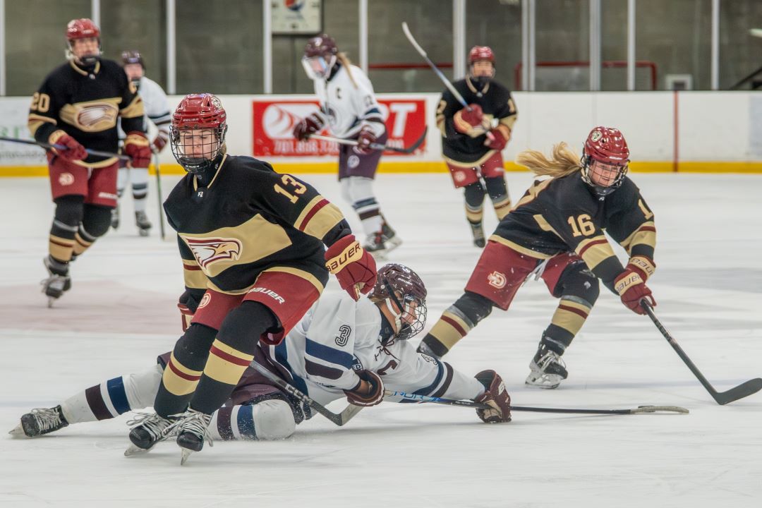 Bismarck Century Logo