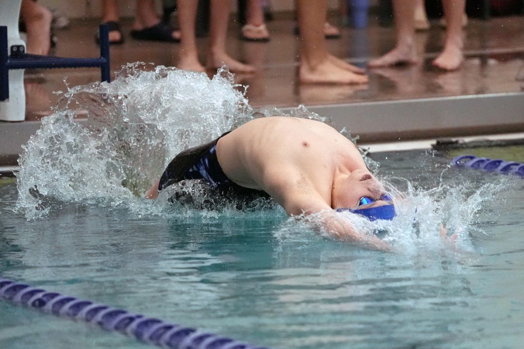 Bismarck Century Logo