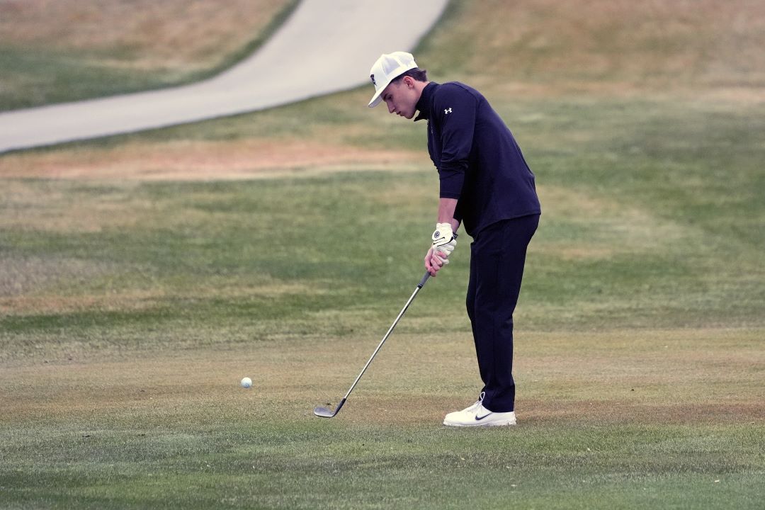 Bismarck Century Logo