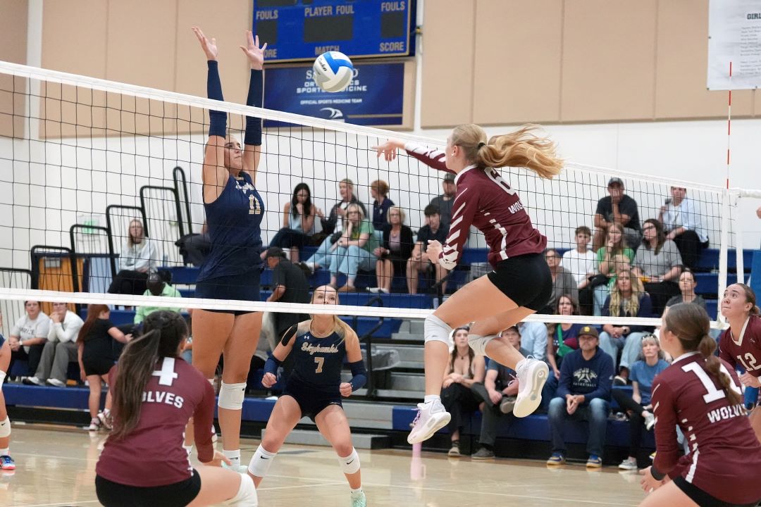 Volleyball