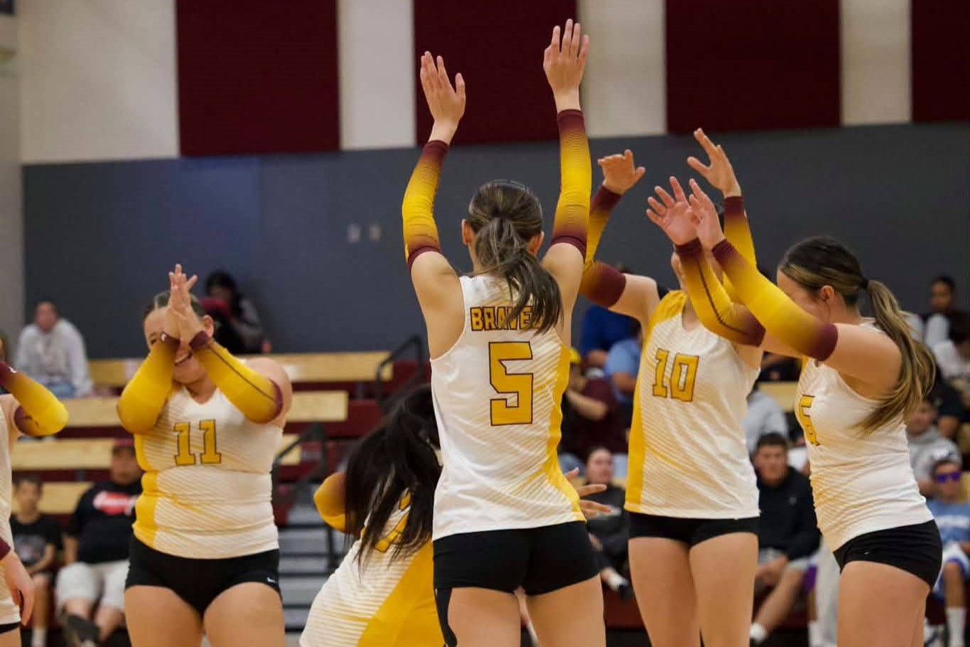 Volleyball