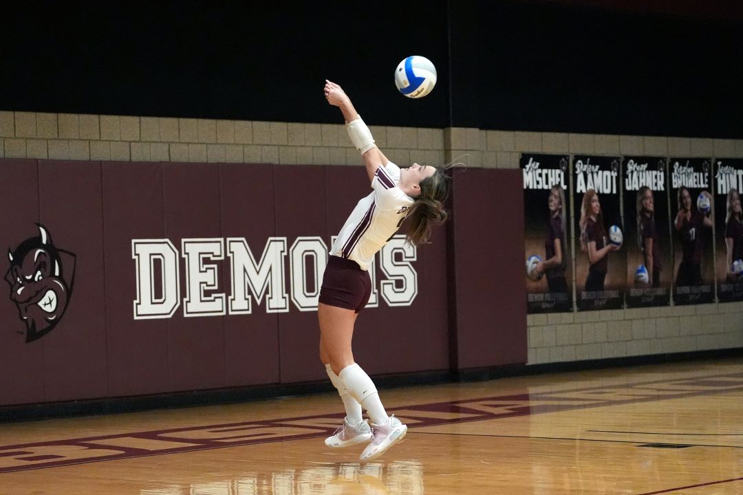 Volleyball